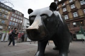 Bear is taking a peek