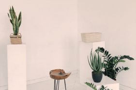 An empty tiny apartment with white walls